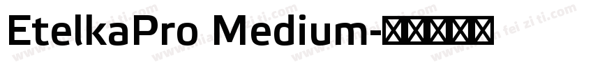 EtelkaPro Medium字体转换